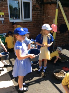 Getting our pots ready for planting.