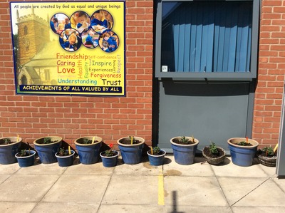 Our finished pots