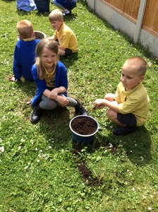 Getting our pots ready for planting