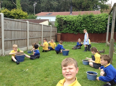 KS1 Planting May 2023