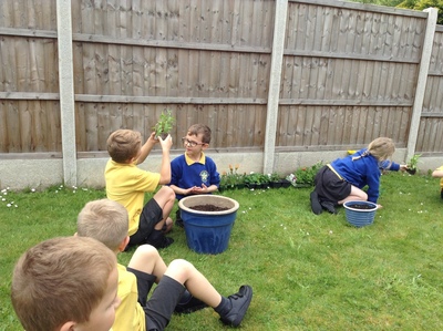 KS1 Planting - May 2023