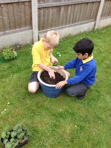 KS1 Planting - May 2023