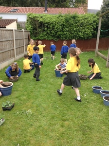 KS1 Planting - May 2023