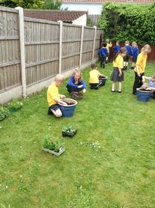 KS1 Planting - May 2023