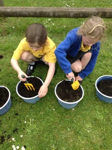 KS1 Planting - May 2023