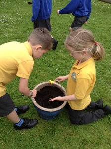 KS1 Planting - May 2023