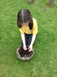 KS1 Planting - May 2023