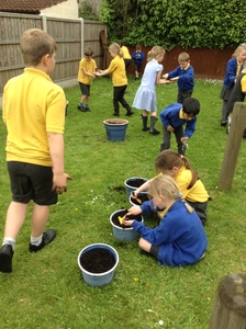 KS1 Planting - May 2023