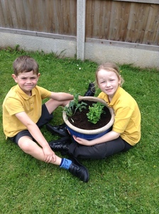 KS1 Planting - May 2023