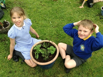 KS1 Planting - May 2023