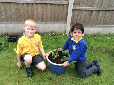 KS1 Planting - May 2023