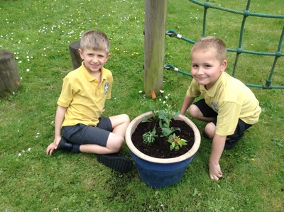 KS1 Planting - May 2023