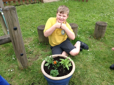 KS1 Planting - May 2023