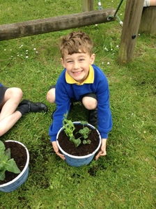 KS1 Planting - May 2023