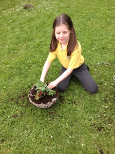 KS1 Planting - May 2023