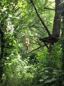Arial Trail 2023