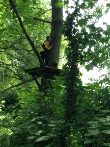 Arial Trail 2023