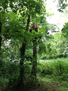 Arial Trail 2023