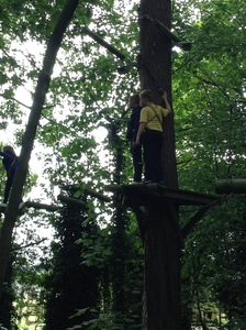 Arial Trail 2023