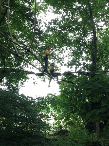 Arial Trail 2023