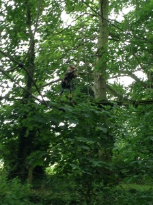 Arial Trail 2023