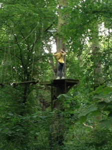 Arial Trail 2023