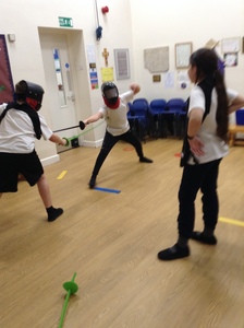 Fencing with Premier Education