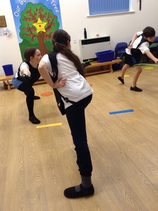 Fencing with Premier Education