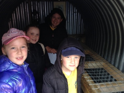 KS2 Visit to Eden Camp June 2024