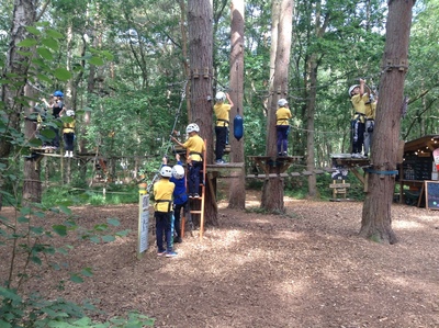 Wild Pines Park