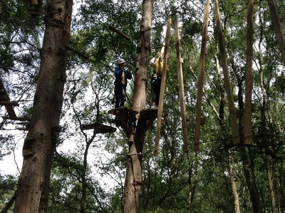 Wild Pines Park
